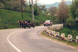 Straßenbild in Maramures